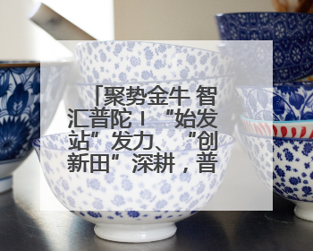 聚势金牛 智汇普陀〡“始发站”发力、“创新田”深耕，普陀科创“金牛”闪耀
